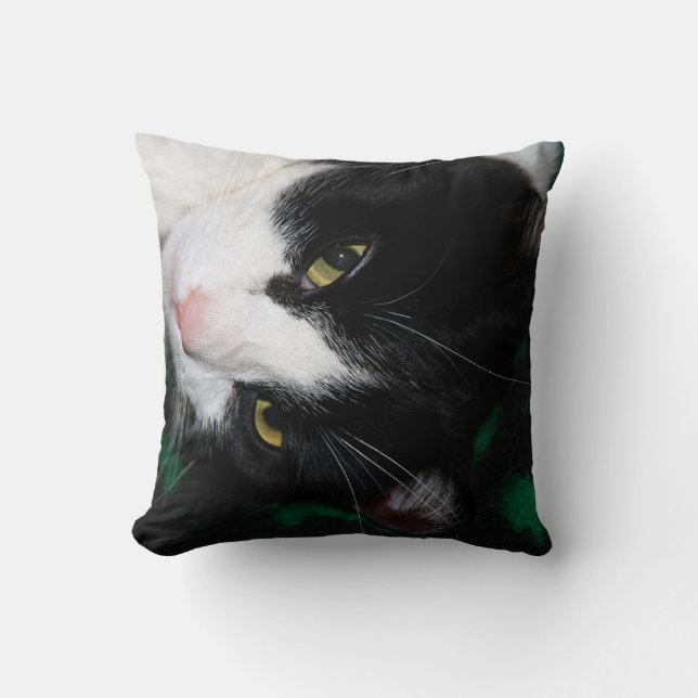 Fabelhafte Katzen! Kissen (Vorderseite)