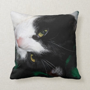 Fabelhafte Katzen! Kissen