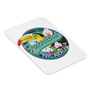 Fabelhaftes Nicaragua-Tukan-Logo Magnet