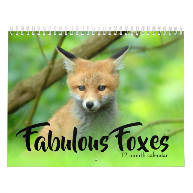 Fabulous Foxes 2026 Kalender (Titelbild)