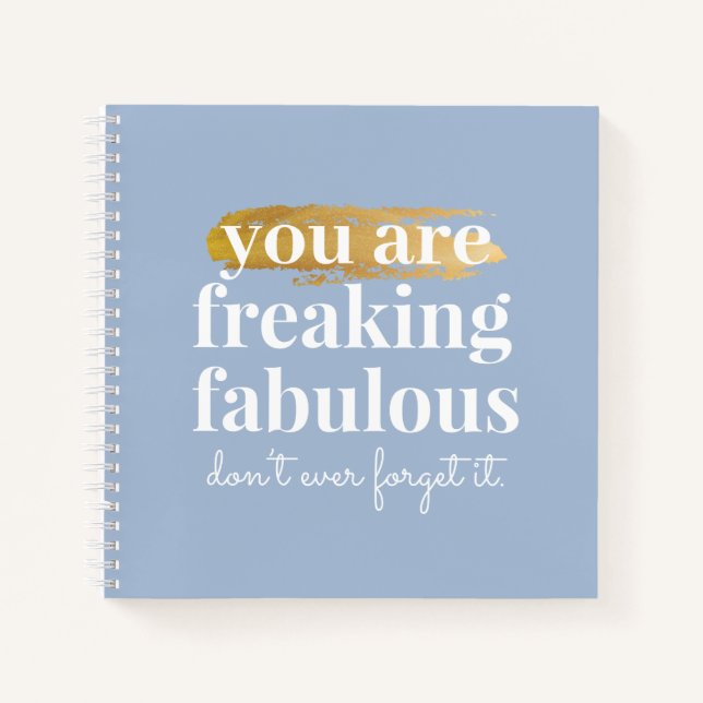 Fabulous Friend Inspirational Funny Dusty Blue Notizbuch (Vorderseite)