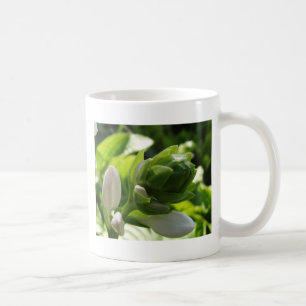 Fabulous Hosta Kaffeetasse