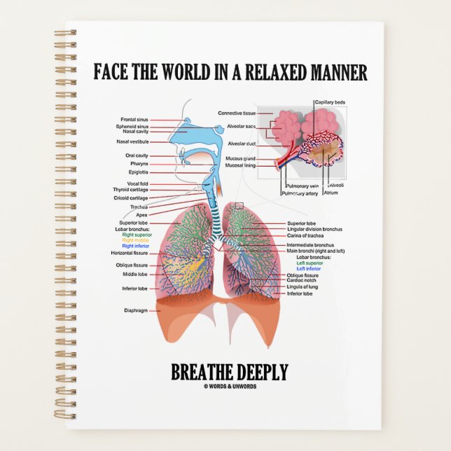 Face The World In A Relaxed Manner Breathe Deeply (Devant)