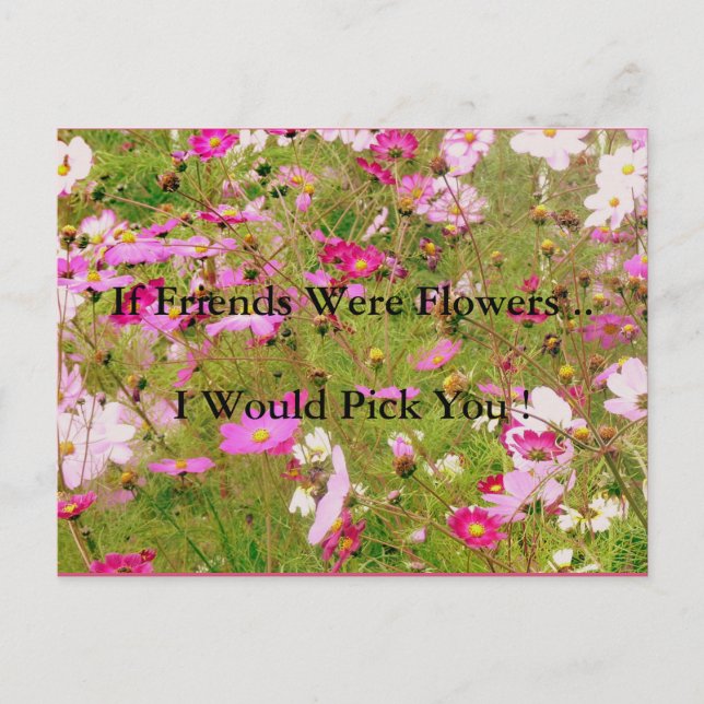 Fach der rosa Blume Freundschaft Postkarte (Vorderseite)