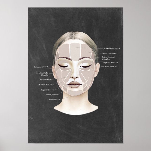 Facial Fat Pad Anatomy Schönheit Wellness-Center D Poster (Vorne)