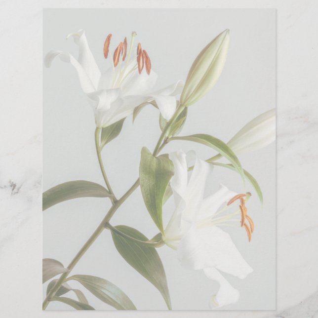 Faded white lily scrapbook paper (Vorderseite)