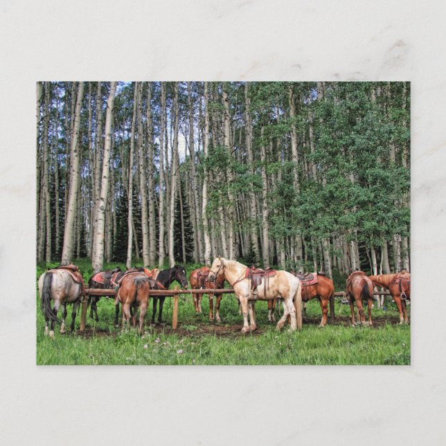 Fahrbereit Postkarte (Vorderseite)