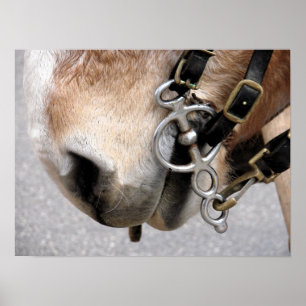 Fahrbit Poster
