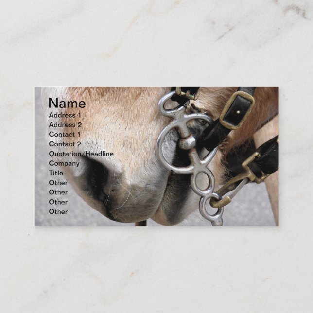 Fahrbit Visitenkarte (Vorderseite)