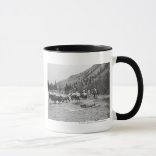 Fahren der Satzmaultiere über einem Fluss Tasse