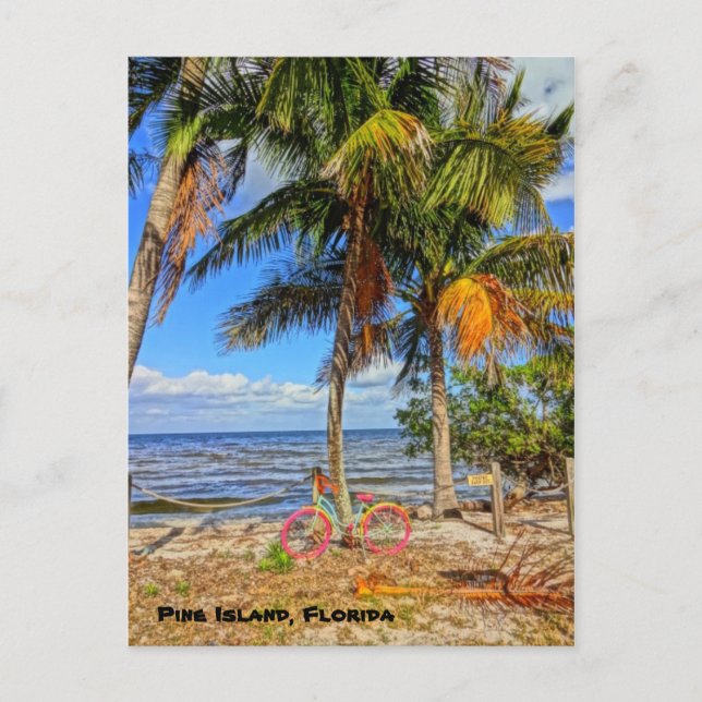 Fahrrad am Strand - Pine Island Florida Postkarte (Vorderseite)