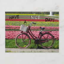 Fahrrad auf dem Tulips-Feld haben einen schönen Ta