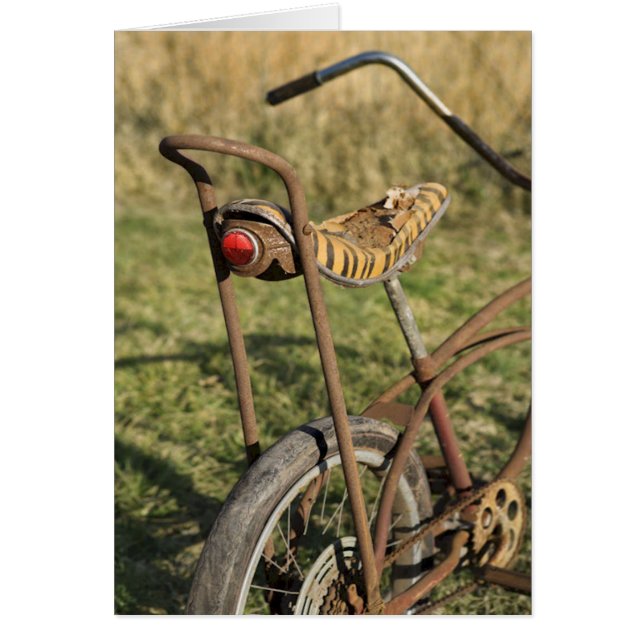 Fahrrad Fahrrad Fahrrad Banana Cruiser (Vorne)