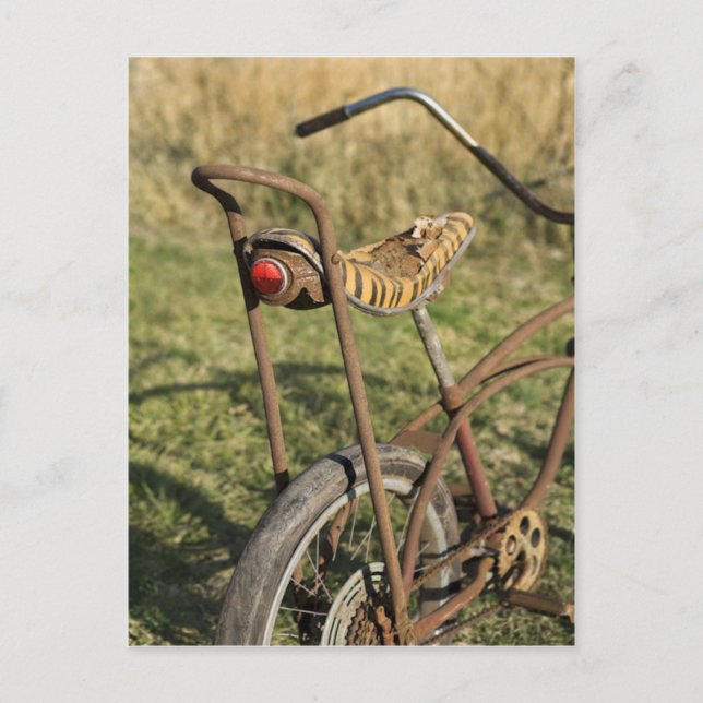 Fahrrad Fahrrad Fahrrad Banana Cruiser Postkarte (Vorderseite)