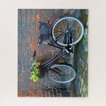 Fahrrad mit Blume-Korb, Kopenhagen, Dänemark