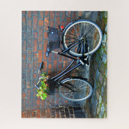 Fahrrad mit Blume-Korb, Kopenhagen, Dänemark