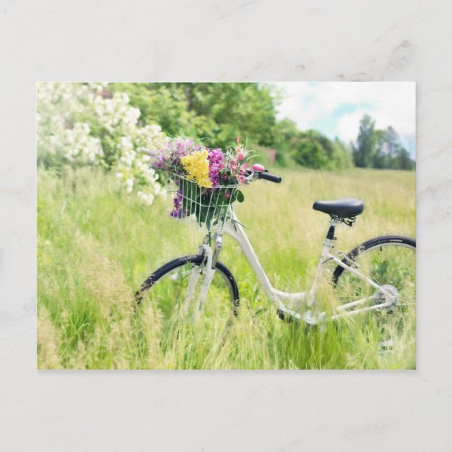 Fahrrad mit Blume Postkarte (Vorderseite)