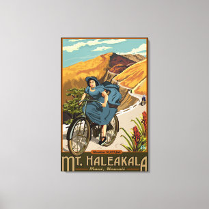 Fahrrad Mt. Haleakala reitet Hawaii Leinwanddruck