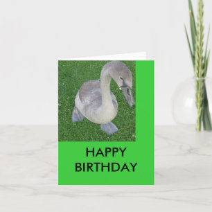 Fahrräder an Land, GLÜCKLICH GEBURTSTAG Karte