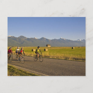 Fahrradfahrer fahren eine Landstraße hinunter Postkarte