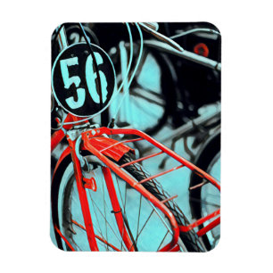 Fahrradgifte für sie magnet
