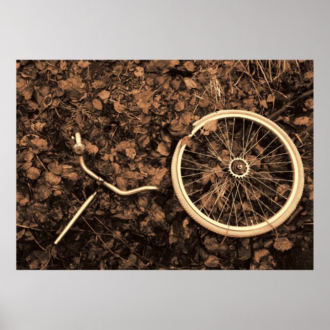 Fahrradteile mit Herbstblättern Poster (Vorne)