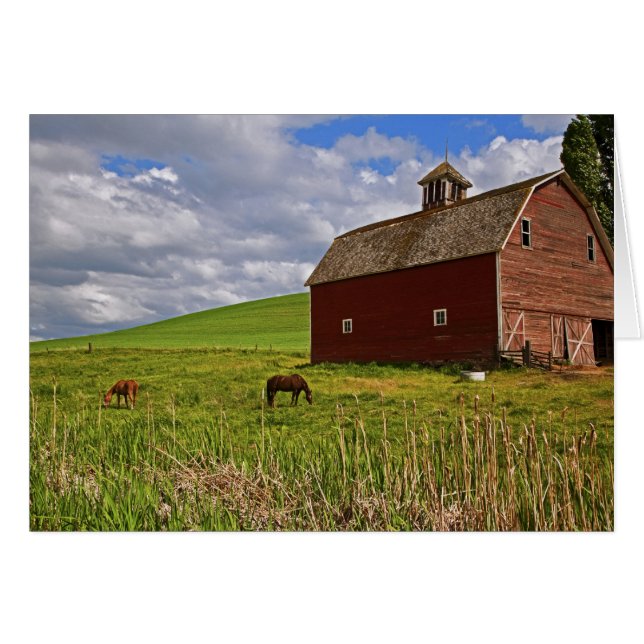 Fahrt durch das Landgut Palouse 3 (Vorderseite (Horizontal))