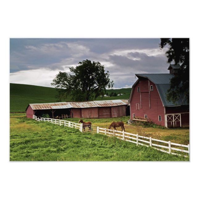 Fahrt durch das Landgut Palouse 4 Fotodruck (Vorne)