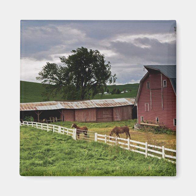 Fahrt durch das Landgut Palouse 4 Magnet (Vorne)