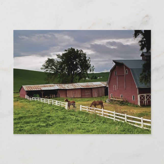 Fahrt durch das Landgut Palouse 4 Postkarte (Vorderseite)