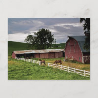 Fahrt durch das Landgut Palouse 4