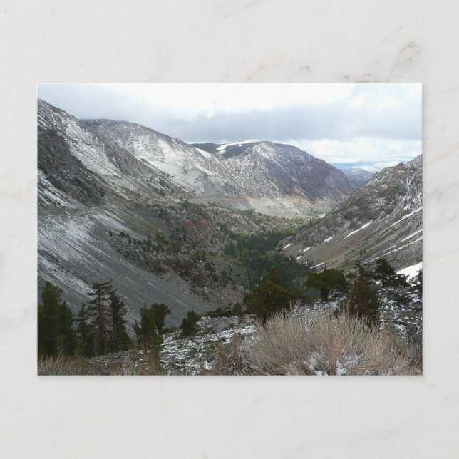 Fahrt durch die schneebedeckten Berge der Sierra N Postkarte (Vorderseite)