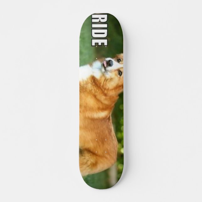 Fahrt für den Corgi Skateboard (Vorne)
