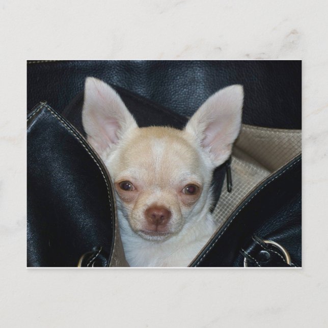 Fahrt Postkarte (Vorderseite)