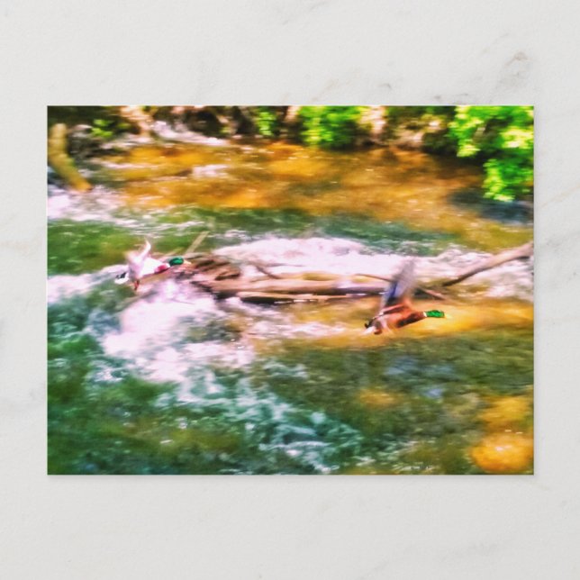 FAHRZEUG POSTKARTE (Vorderseite)