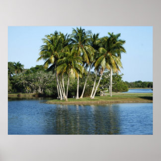 Fairchild Tropical Botanical Gardens Poster