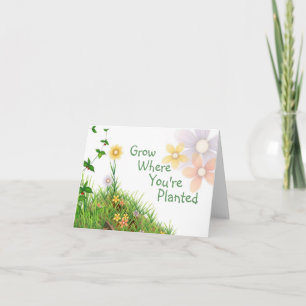 FAIRE CROÎTRE LÀ OÙ VOUS ÊTES PLANTÉ CARTE