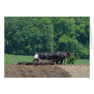 Faire équipe à six chevaux