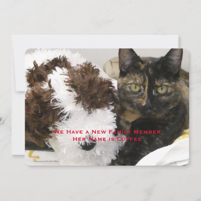 Faire-part Adoption du chat animal de compagnie, nom, votre p (Devant)