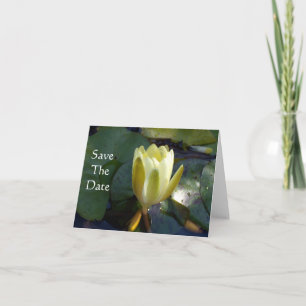 Faire-part Annonce de Mise à Jour de Date