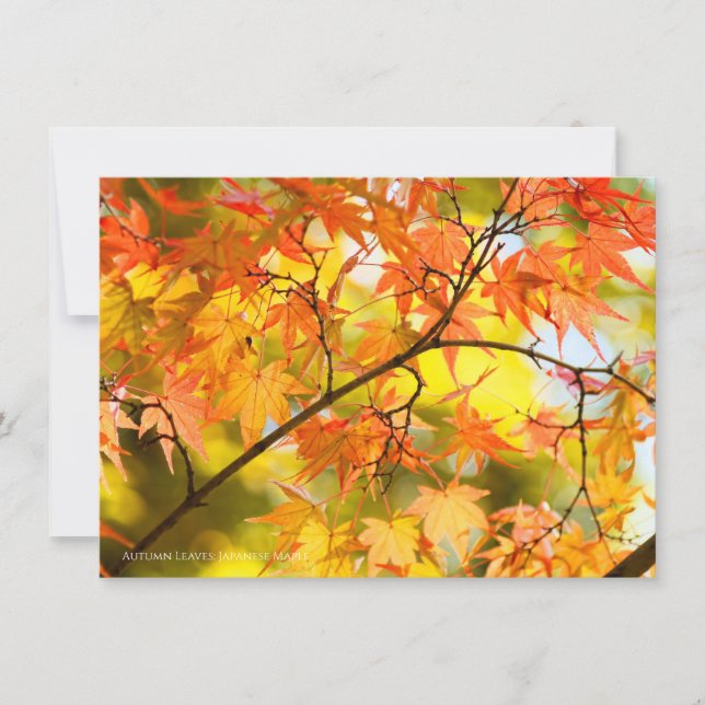 Faire-part Autumn Leaves [Flat Card] (Devant)