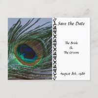 Awesome Peacock Enregistrer la date carte postale