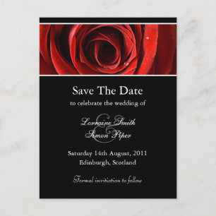 Faire-part Belle Rose Rouge Enregistrer La Date Carte Postale