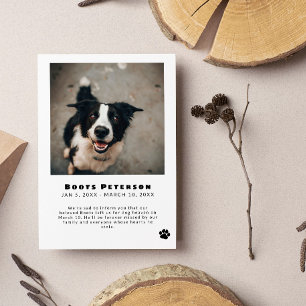 Faire-part Black Pawprint Pet Perte d'animal de compagnie Fai