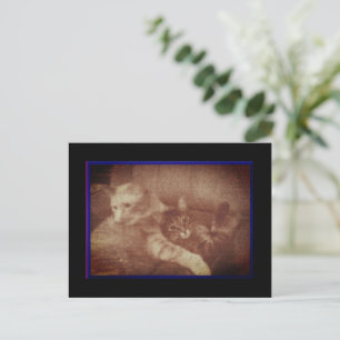 Faire-part Carte postale de chatons câlins