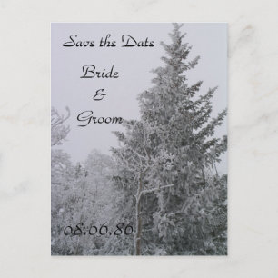 Faire-part Carte postale de mariage arbre de pin en hiver