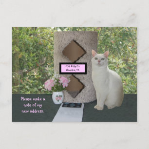 Faire-part Carte postale Féminine Nouvelle Adresse