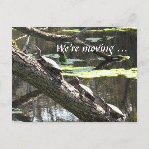 Faire-part Carte postale - Nous déménageons ... Tortues
