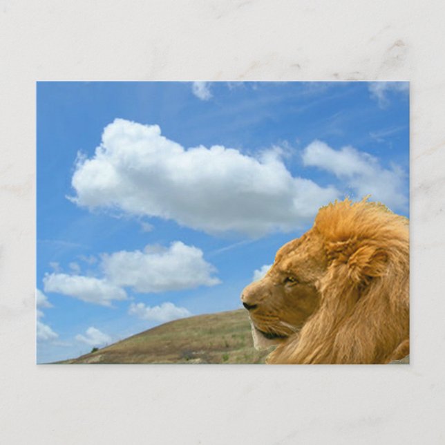 Faire-part Carte postale - Portrait de lion (Devant)