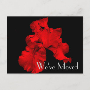 Faire-part Carte postale Red Hot Iris Nouvelle adresse Floral
